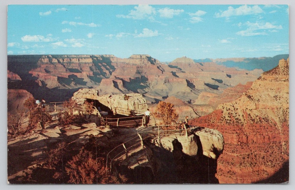 Vintage Grand Canyon Lipan Point Arizona Postcard Petley Studios Chrome