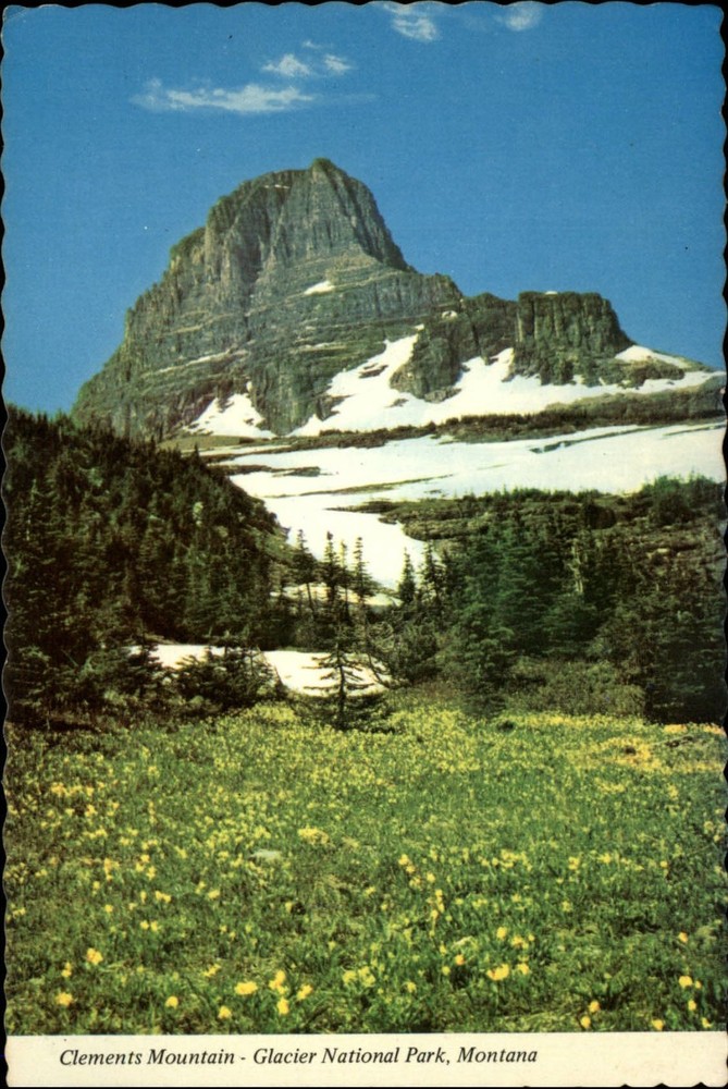 Clements Mountain MT summit Logan Pass ~ Glacier National Park ~ yellow flowers
