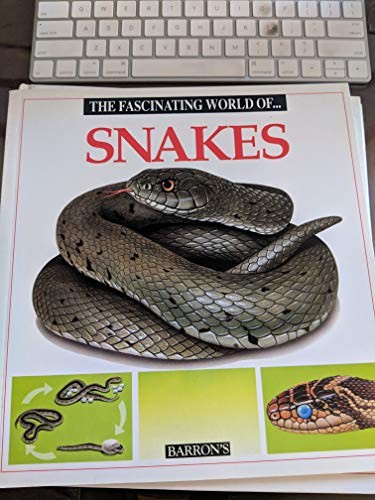 The Fascinating World of Snakes, Julivert, Maria Angels