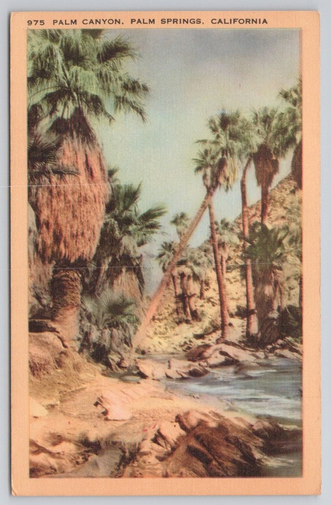 Palm Canyon Palm Springs California Vintage Postcard 1930s Longshaw Card Co