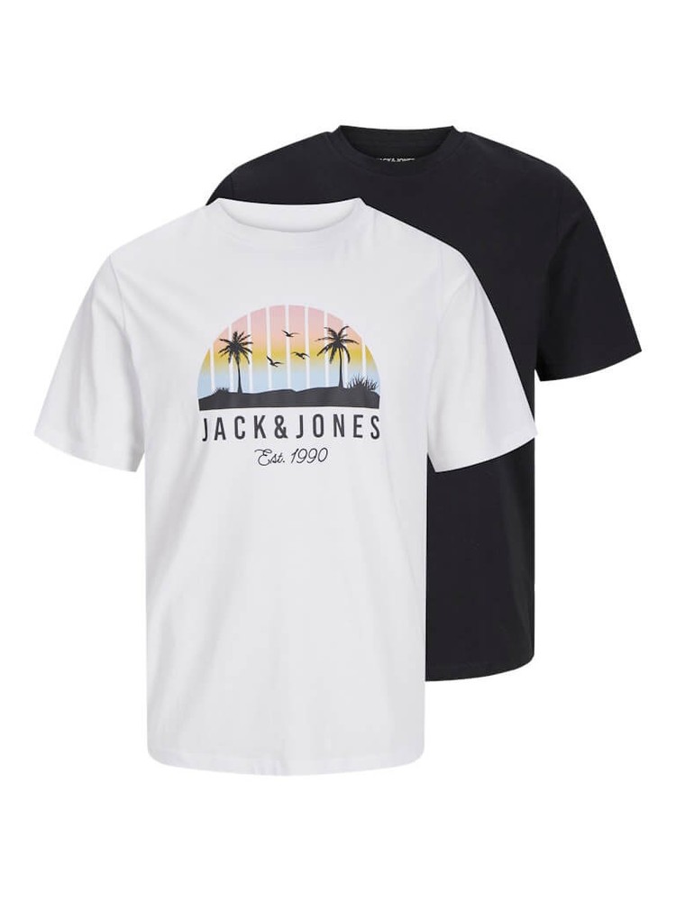 Jack & Jones 2-Pack Crew Neck T-Shirts in White and Black - JJPALM Style