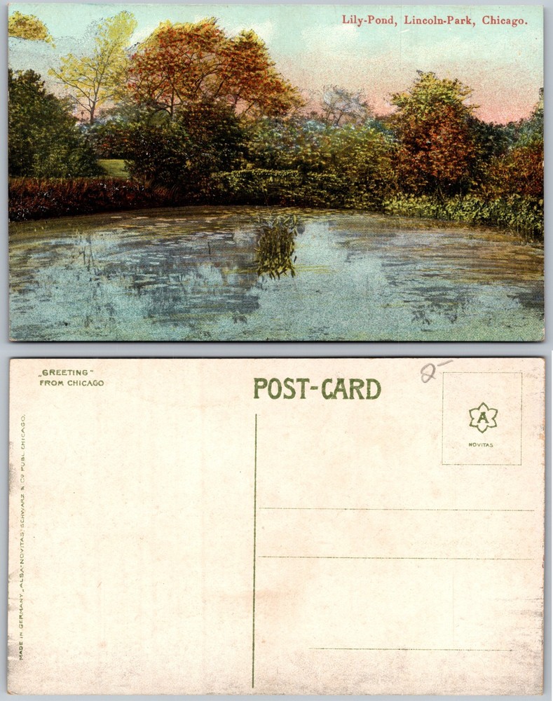 Lily Pond Lincoln Park Chicago Illinois Postcard