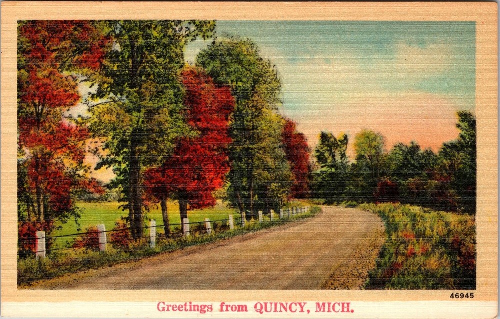 Quincy MI-Michigan, Scenic Road Greetings, Vintage Postcard