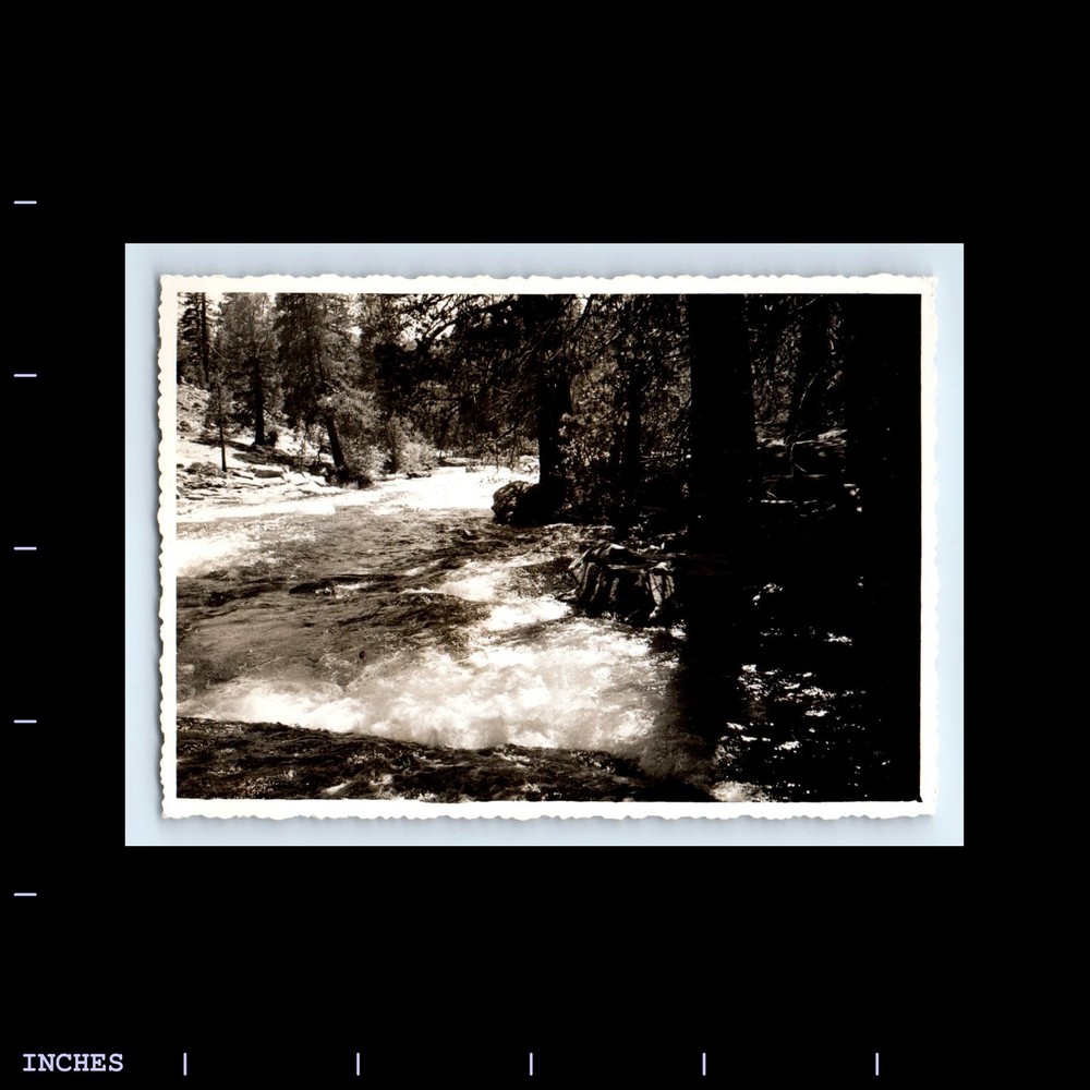Old Vintage Photo MOUNTAIN LANDSCAPE FOREST RIVER TREES
