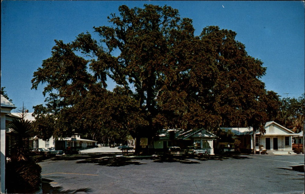 Palms Motor Inn Restaurant & Pancake House ~ St Augustine Florida ~ 1960s cars