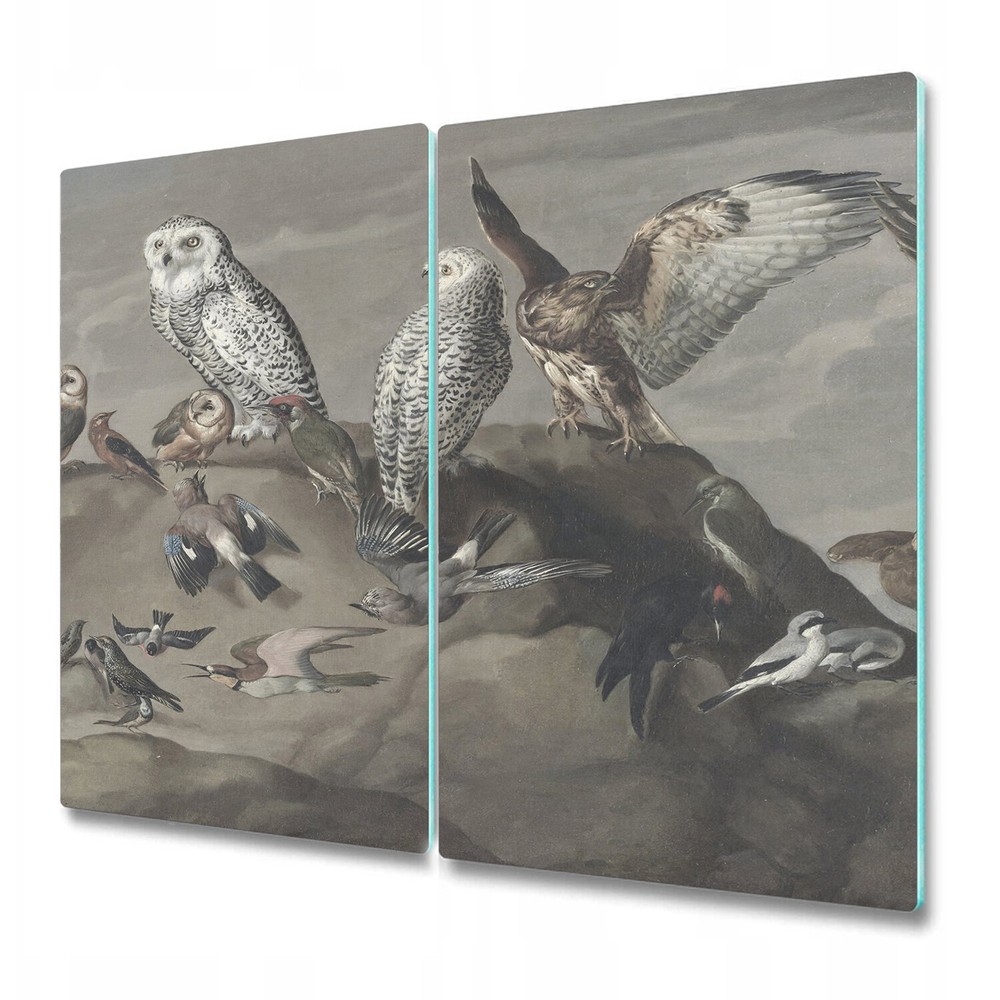 Glass Induction Ceramic Hob Cover Study of Birds vintage Painting 2x30x52
