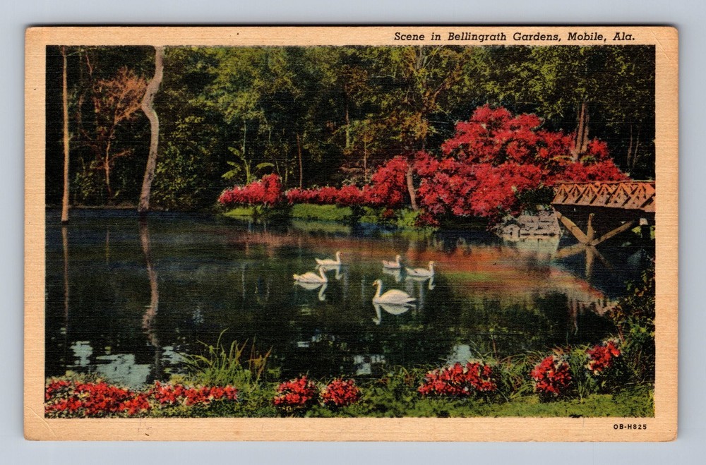 Mobile AL-Alabama Scene In Bellingrath Gardens Vintage Postcard