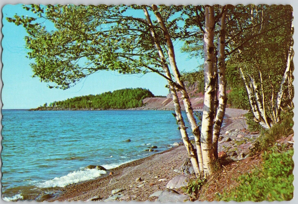 MN Grand Marais Lake Superior Birches North Shore Drive Scalloped Postcard