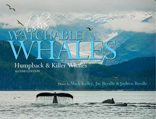 Alaska's Watchable Whales: Humpback & - Hardcover, by Mark Kelley; Nick - New q