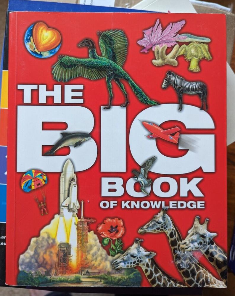 The Big Book of Knowledge Hardcover Angela Koo John Farndon