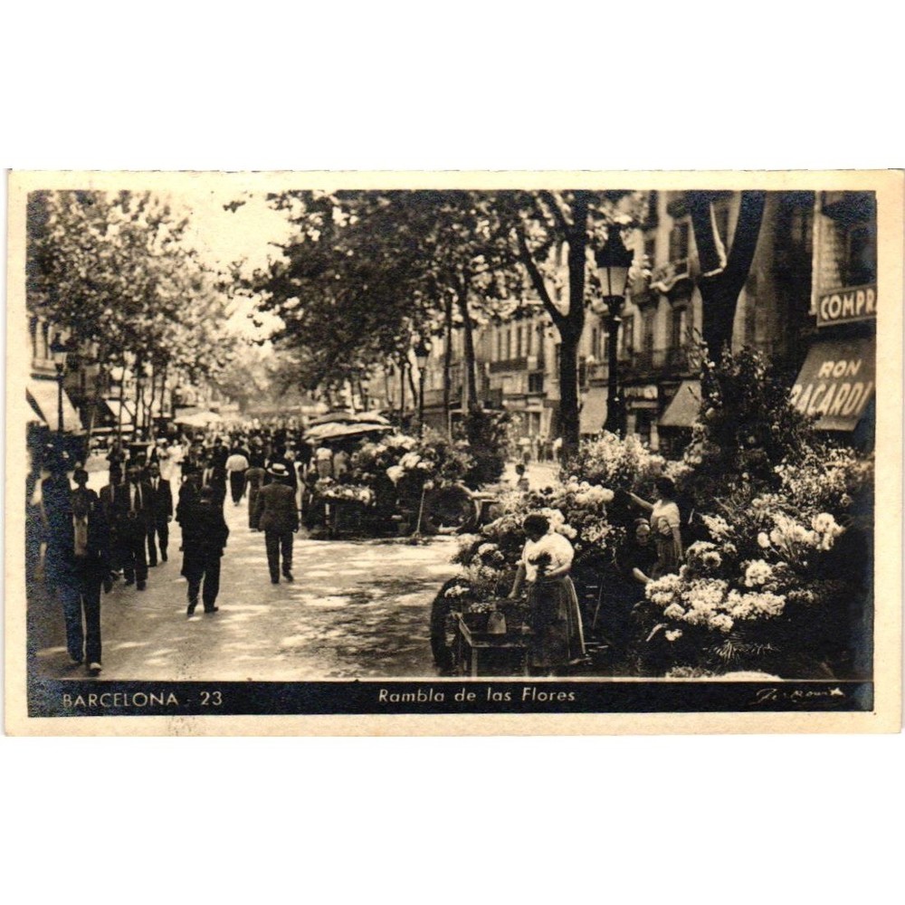Vintage Barcelona Rambla de las Flores Postcard Spain Street Scene Florist