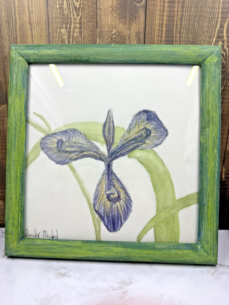 Original Watercolor Painting Of Purple Iris Signed By Artist