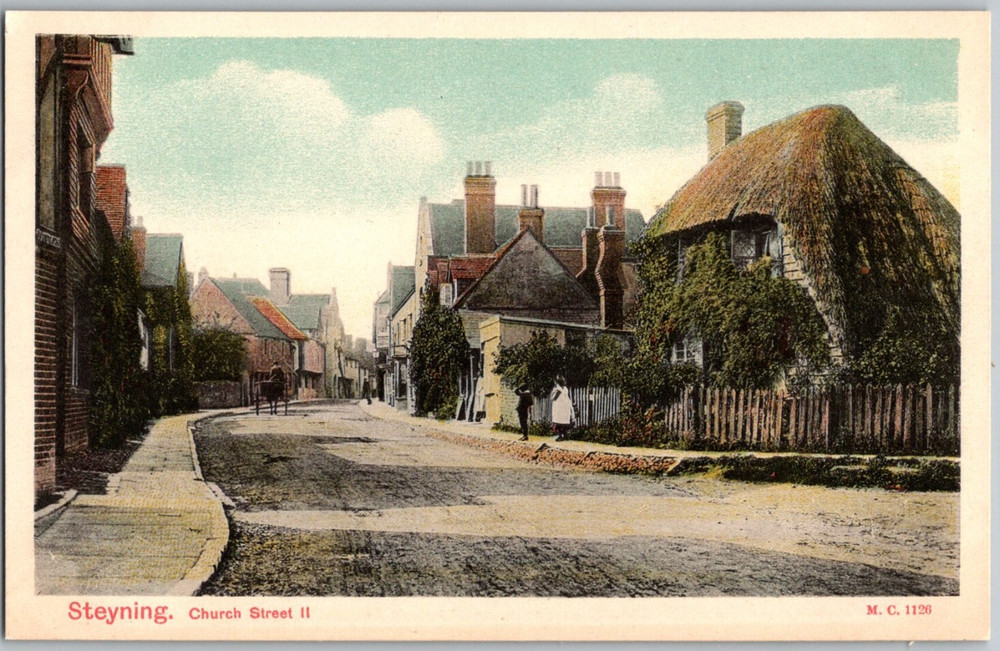 England UK Steyning West Sussex Church Street Peacock Stylochrom Postcard
