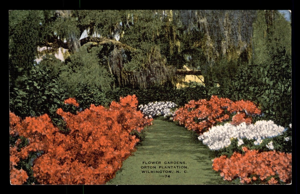 Flower Gardens Orton Plantation Wilmington NC Unp Linen Postcard
