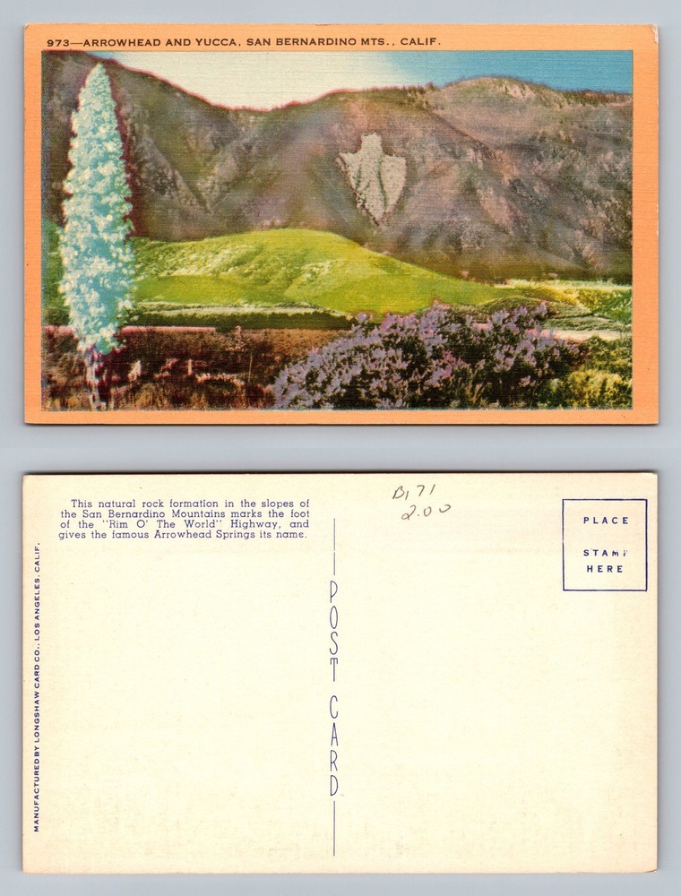 San Bernardino, CA-California, Arrowhead Yucca Souvenir Vintage Postcard
