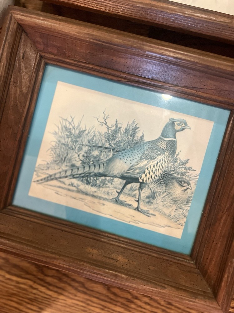 Gregory Messier Vintage Wood Framed Matted Pheasant Bird Hunting Print 11x13
