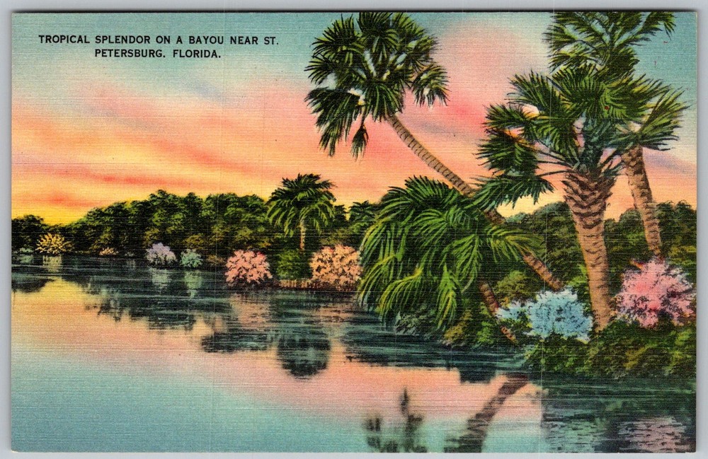 Vtg Linen Postcard Tropical Bayou Scene St Petersburg, FL 1930s