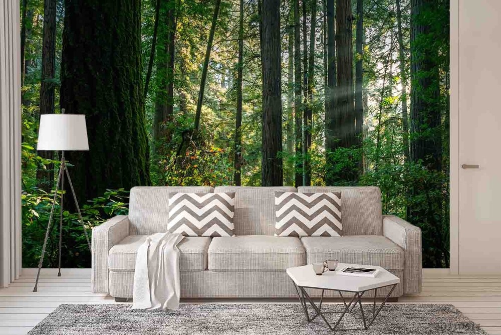 3D Forest Path Landscape Wall Murals Wallpaper Murals Wall Sticker
