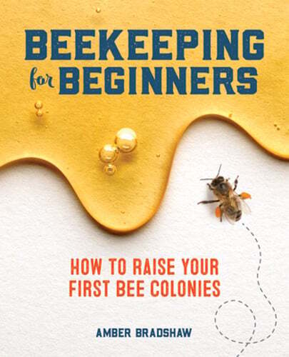 Beekeeping for Beginners: How to Raise Your First Bee Colonies by Amber Bradshaw