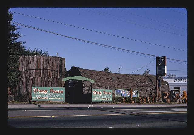 Eureka California Stump House Redwood Gifts Route 101 1991 Log Gift Shop