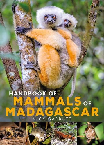 Discover Madagascar's Mammals with Nick Garbutt's Comprehensive Hardcover Guide