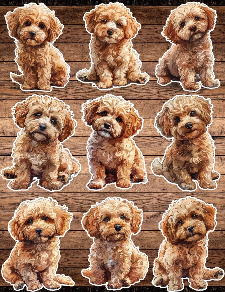 Cockapoo Puppy Dog Die Cut Vinyl Stickers Set Scrapbooking Laptop Waterbottle