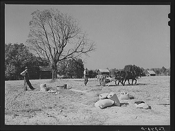 North Carolina,Caswell County,NC,Farm Security Administration,1940,FSA,15