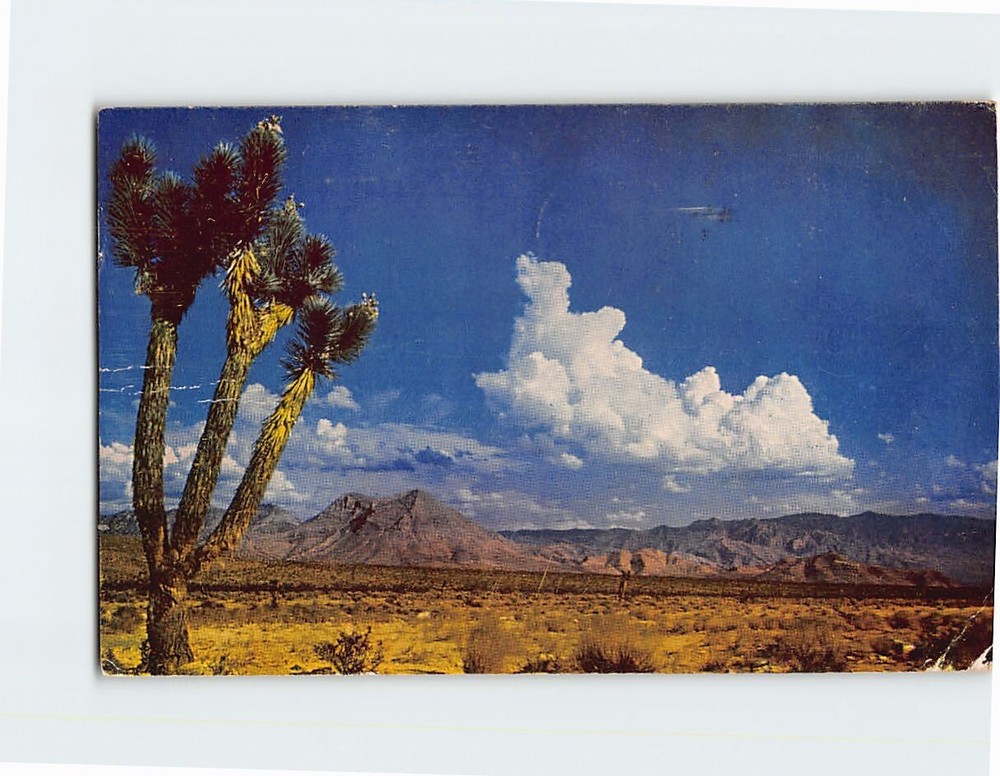 Postcard Desert Landscape Scene