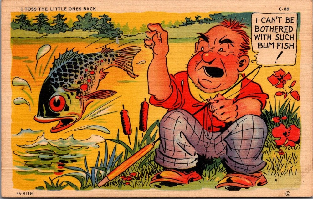 Humorous Fishing Cartoon Postcard - 