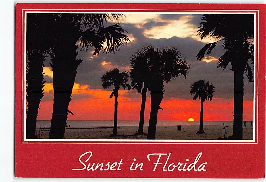 Postcard Sunset Scene in Florida USA