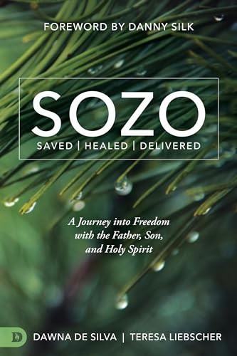 SOZO Saved Healed Delivered: A Journ..., DeSilva, Dawna