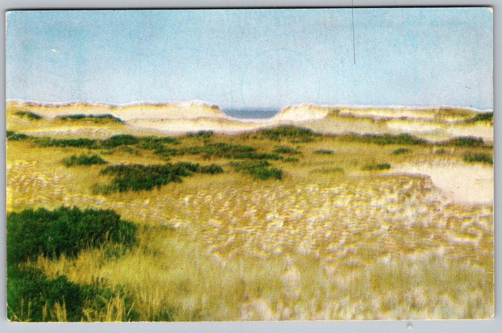 Vtg Postcard Sand Dunes Seascape Cape Cod, MA 1950s