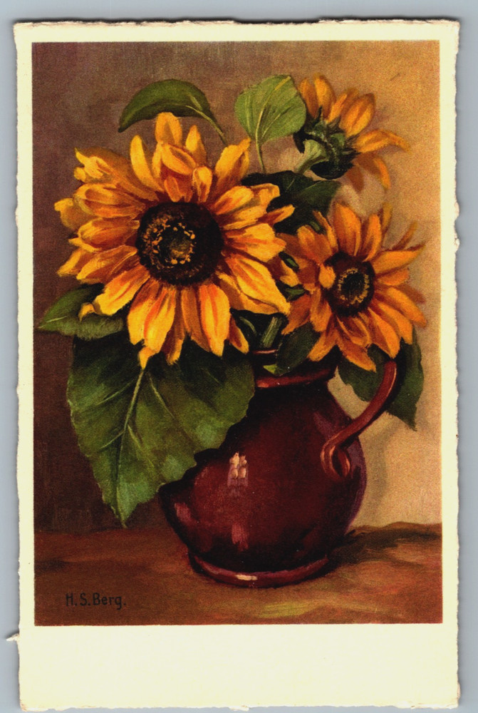 Still Life Sunflowers in Vase Artist Signed H.S. Berg Art Postcard