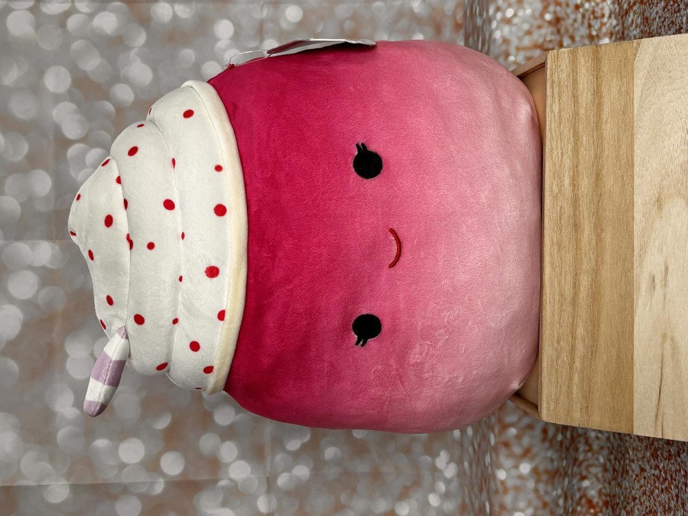 RARE Squishmallows Cinnamon The Frozen Yogurt 14 Inch NWT