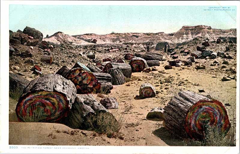 Postcard NATURE SCENE Adamana Arkansas AR m/09 AO2385