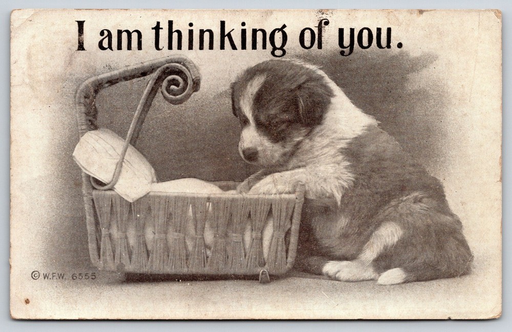 Animal~Thinking Of You~St Bernard Puppy Dog w/Cradle Bed~Pillow~c1910 Postcard