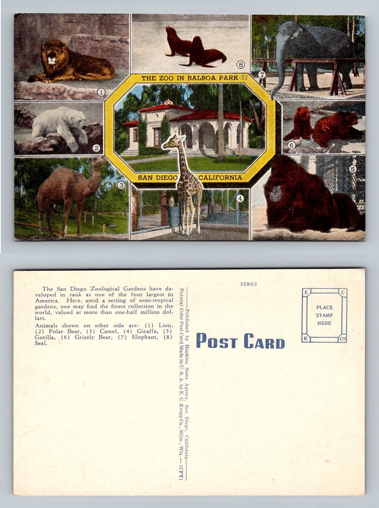 San Diego, CA-California, Balboa Park Zoo Animals Multi View Vintage Postcard