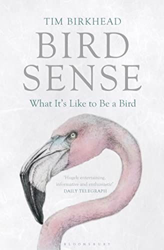 Bird Sense: What It's Like to Be a Bird, Birkhead, Tim