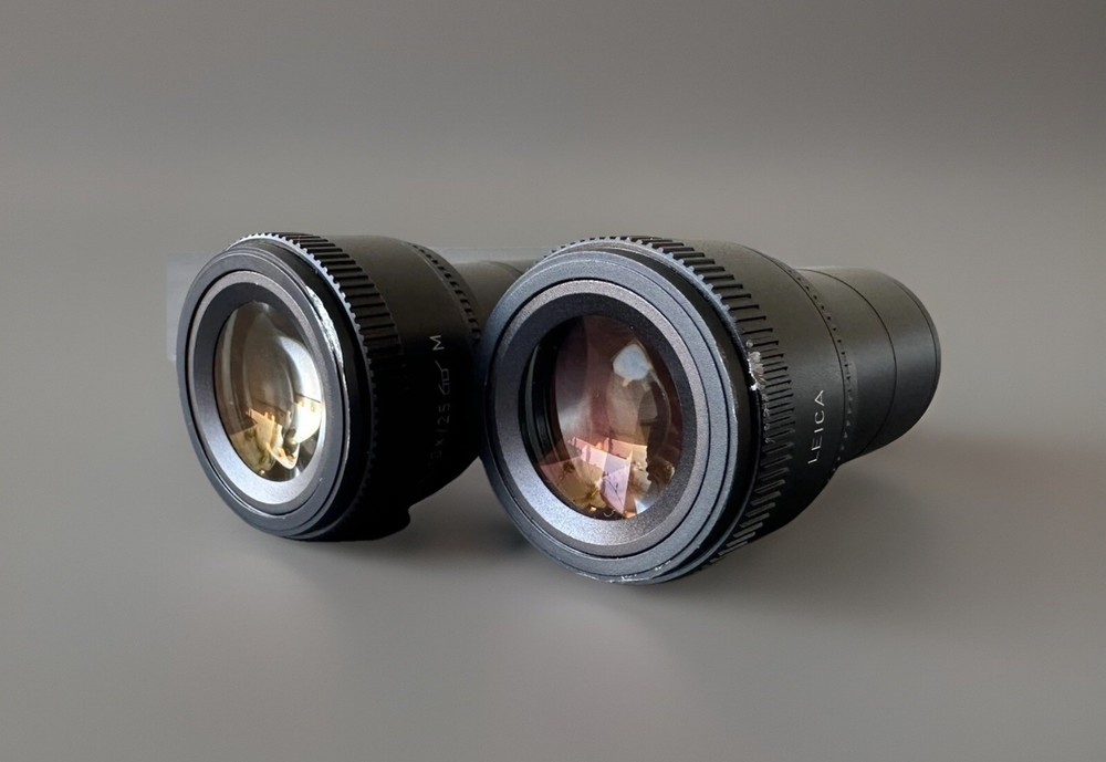 Leica L Plan 10x/25 M Microscope Wide Field Eyepiece Pair (506800)