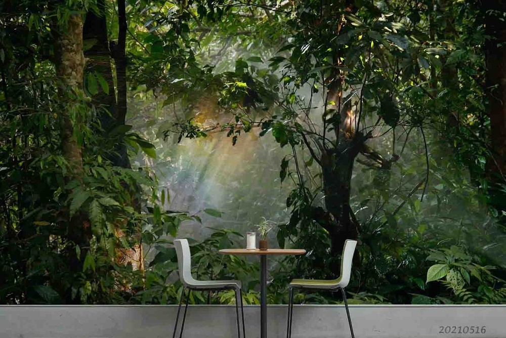 3D Forest Sunshine Landscape Wall Murals Wallpaper Murals Wall Sticker