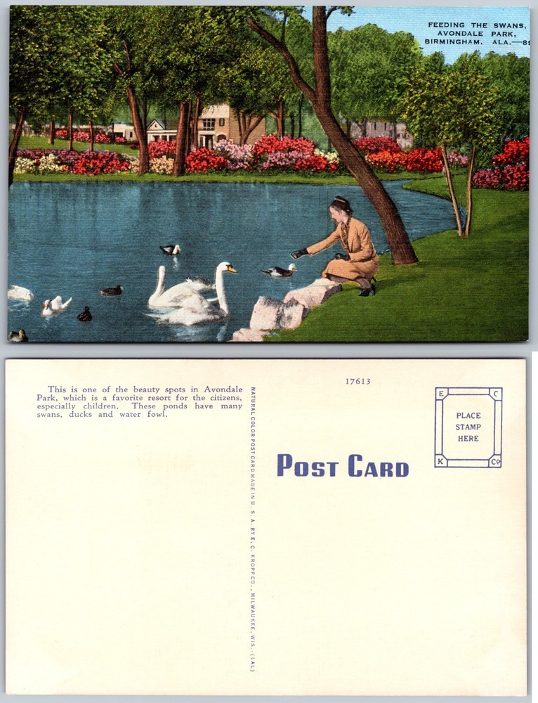 Avondale Park Birmingham AL Postcard