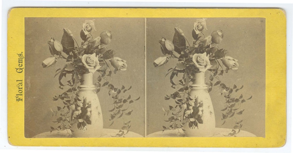 G5026~ VASE of Tea ROSES Still Life 1870s Stereoview