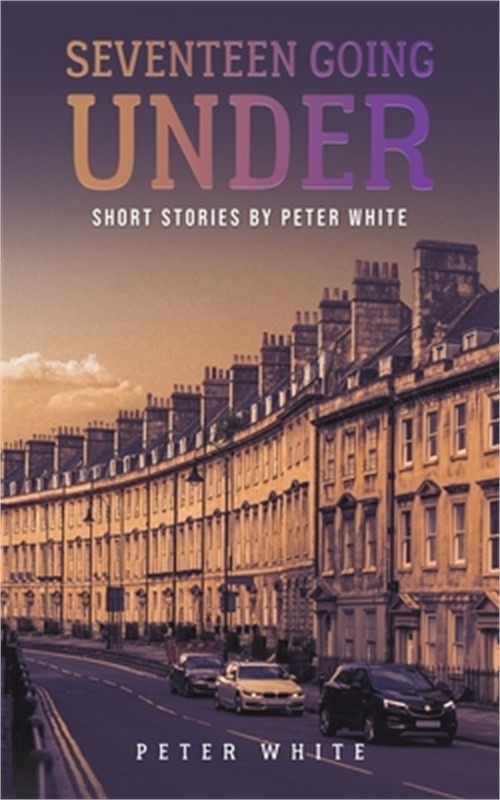 Seventeen Going Under (Paperback or Softback)