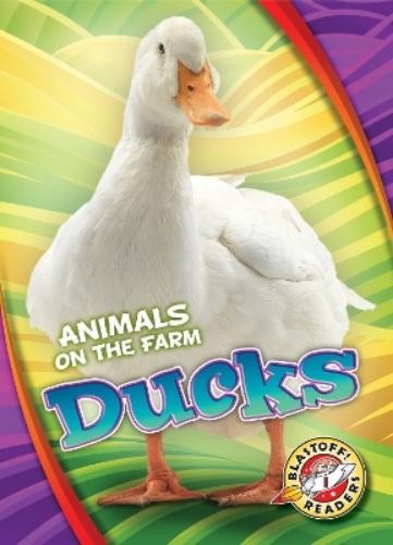 Kari Schuetz Ducks (Hardback) Animals on the Farm