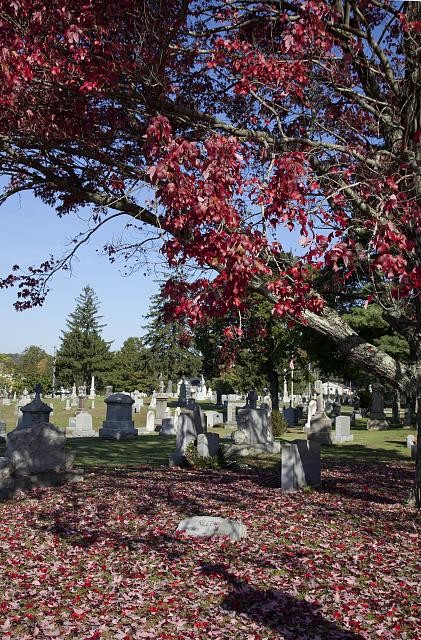 Photo:St. John Cemetery,Darien,Connecticut