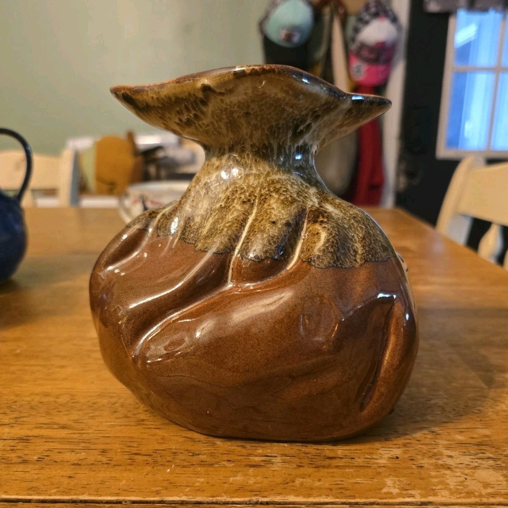 Douglas Ferguson Pigeon Forge  Ceramic Art Pottery Bag Vase (Money Bag Vase)