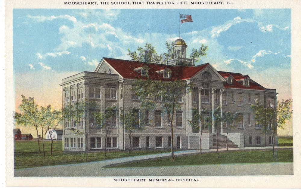 Moosehart IL Memorial Hospital  Vintage Postcard School That Trains for Life EXC