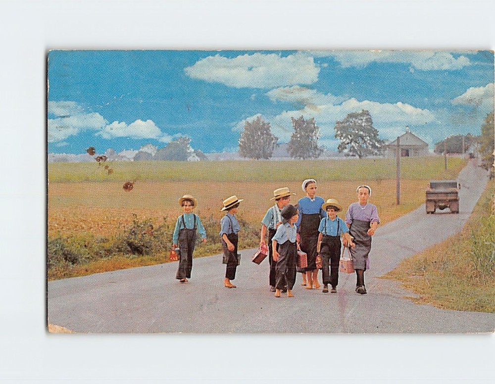 Postcard Amish Children Walking Home From School Pennsylvania USA