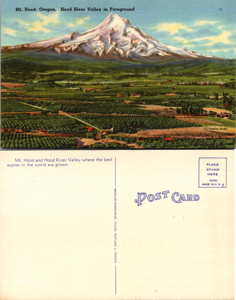 Mt Hood and Hood River Valley Oregon OR Postcard
