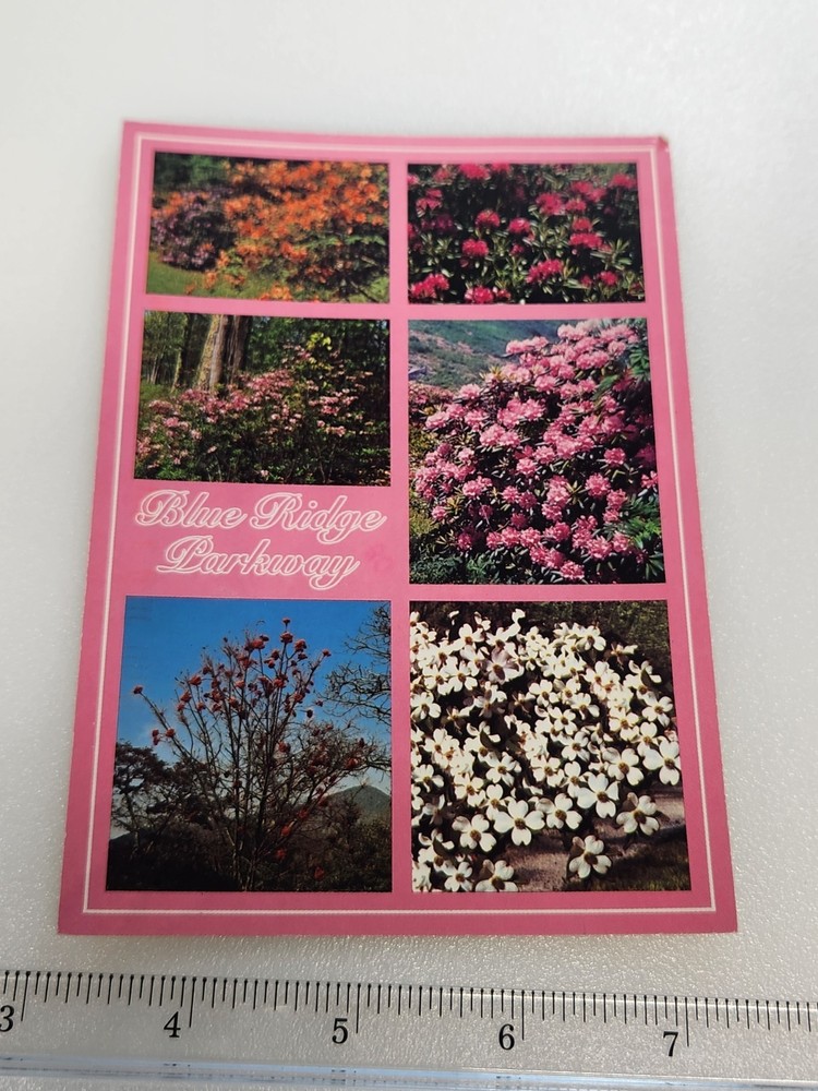 Asheville North Carolina Blue Ridge Parkway 1995 Stamp Vtg Postcard Posted